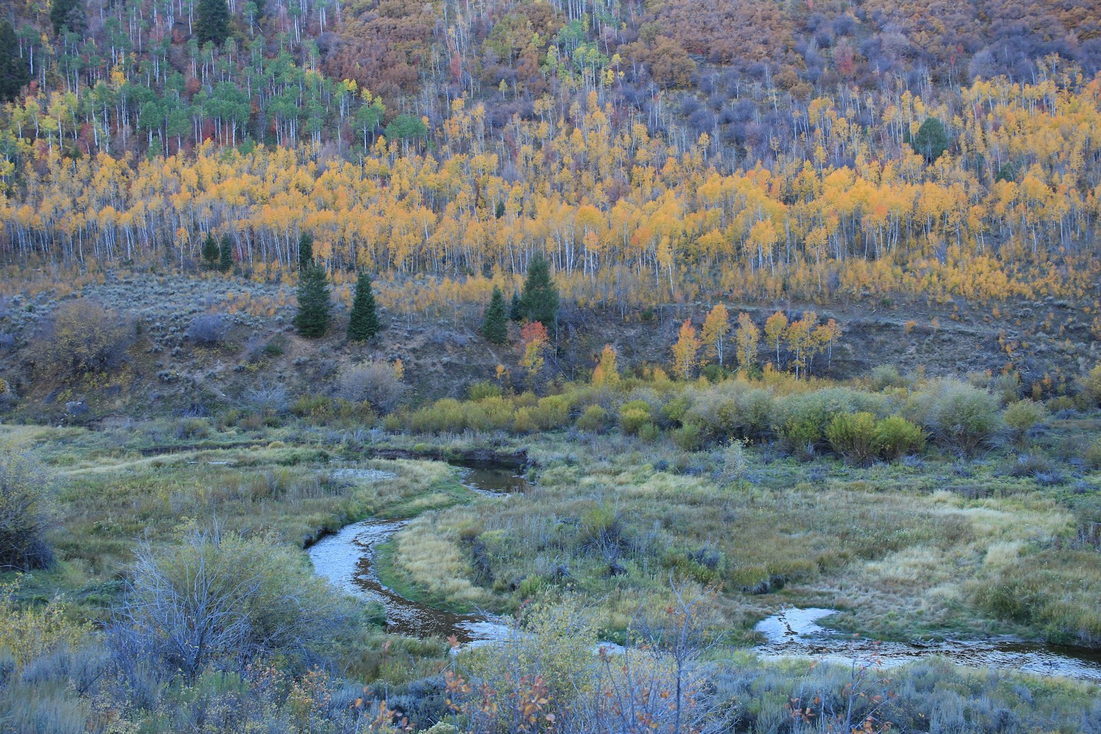 A forested Utah mountain canyon with a creek in autumn, the setting of the Fifth Water trail in Diamond Fork Canyon
