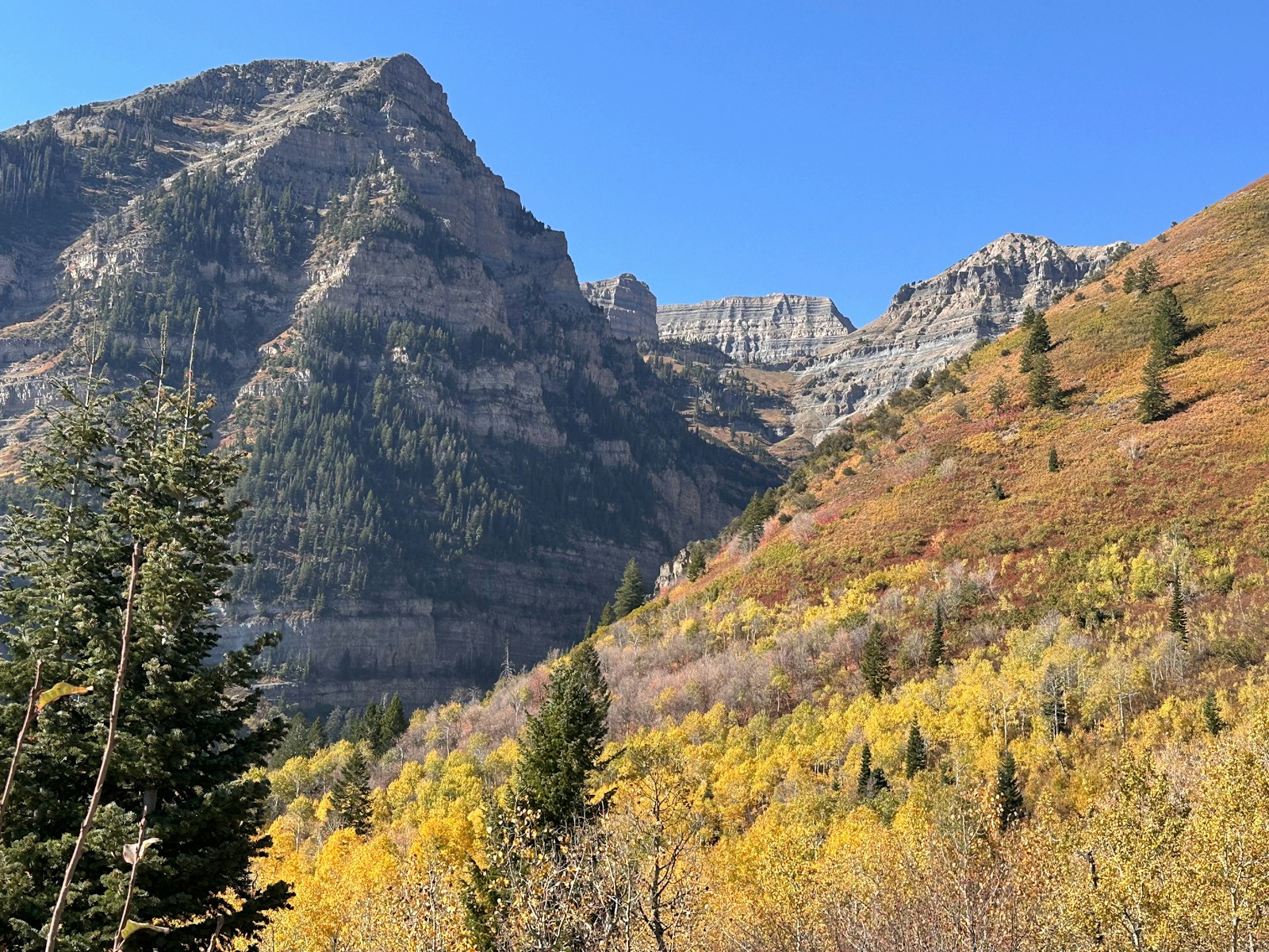 Wasatch Mountain fall colors on the Alpine Loop drive with Mount Timpanogos in the background, Utah County