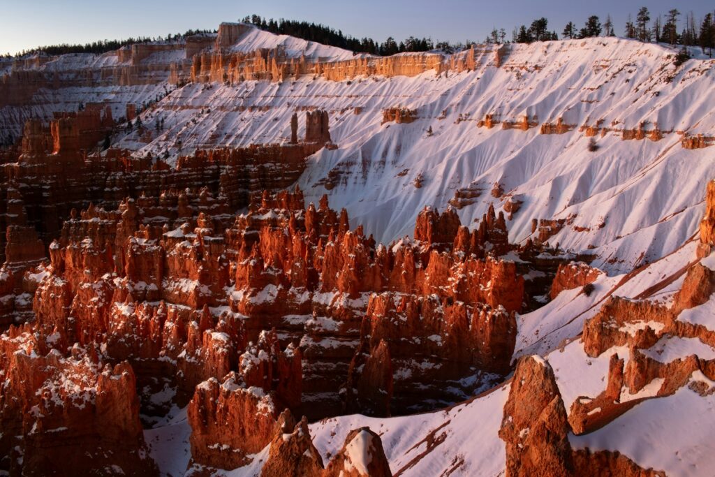 Bryce