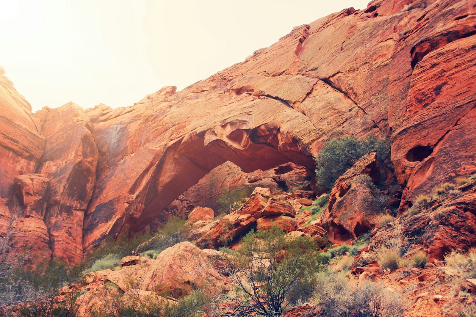 Red rock desert landscape near St. George, Utah
