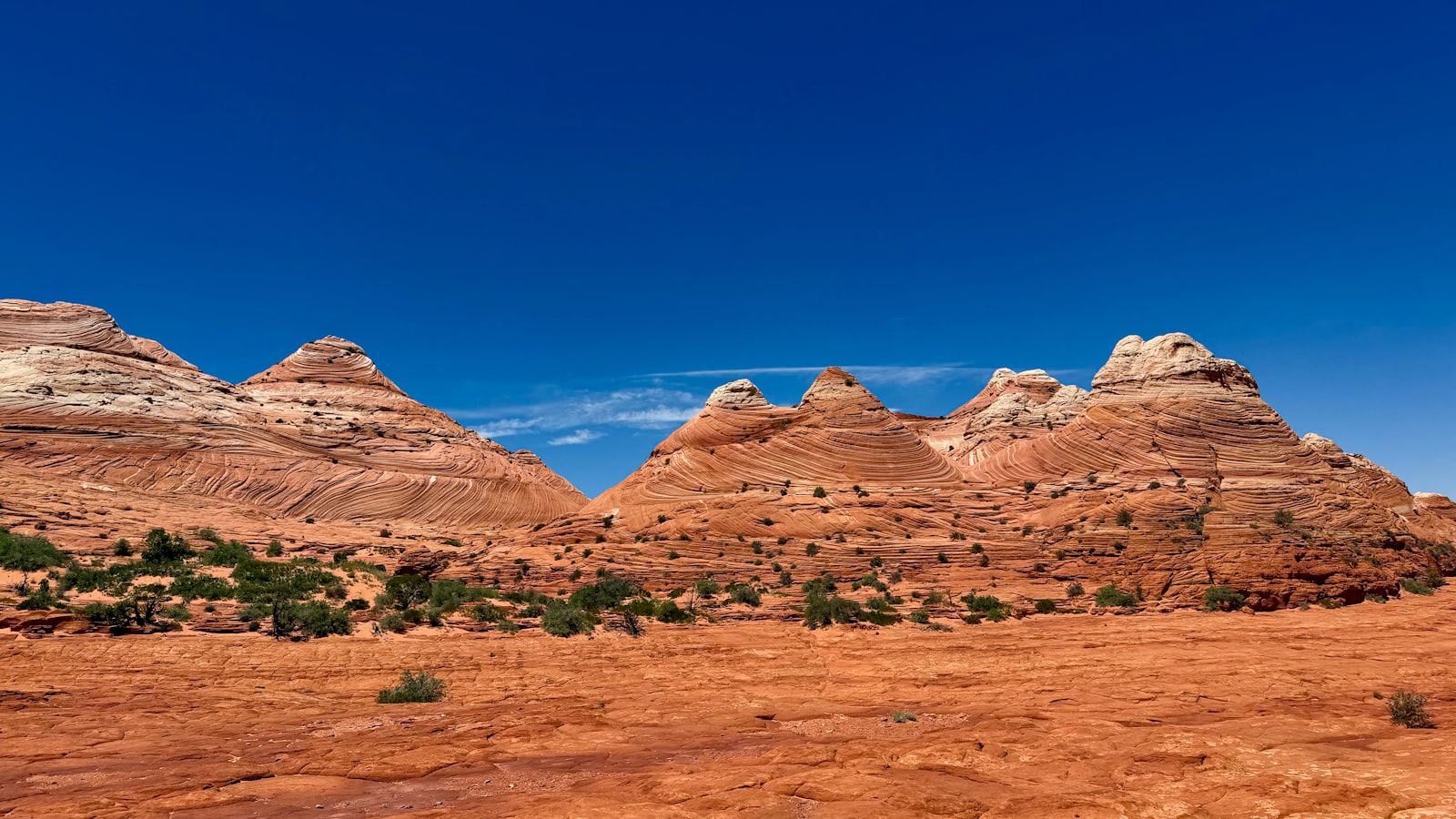 The striped Navajo sandstone of The Wave in Coyote Buttes North, Arizona