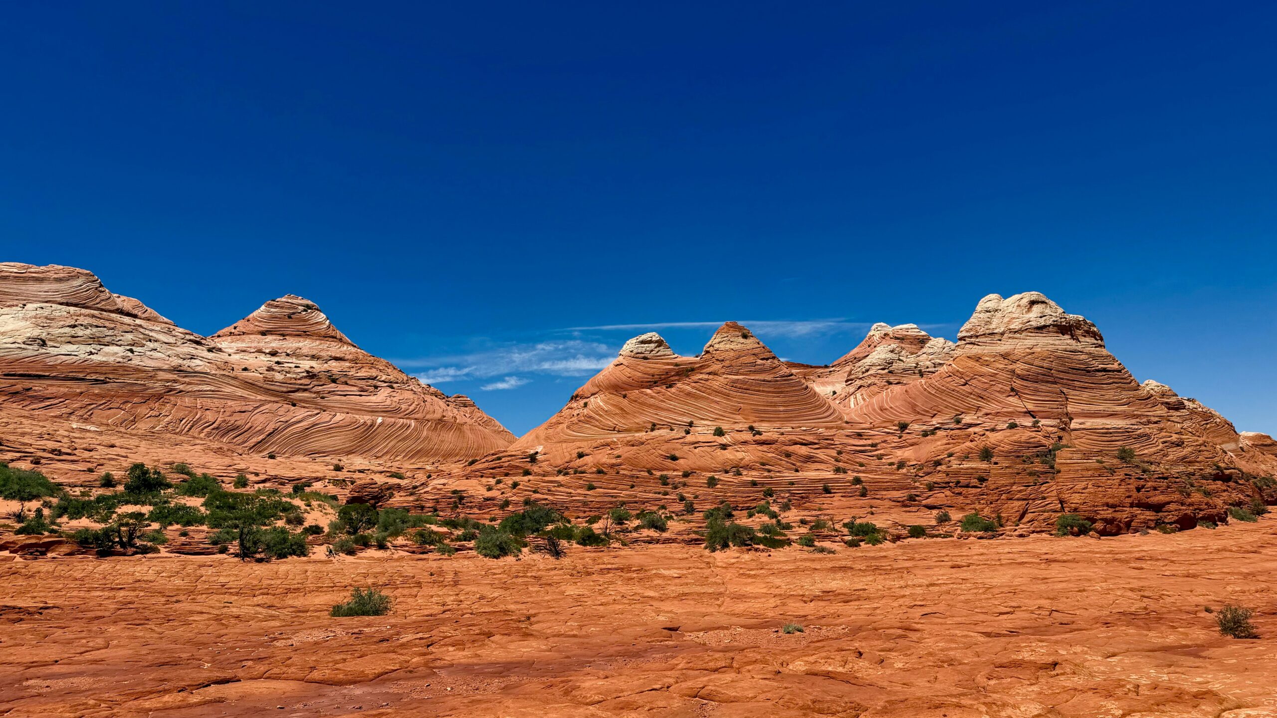 The Wave sandstone formation at Coyote Buttes North on the Utah-Arizona border, one of the iconic permit hikes accessed from Kanab