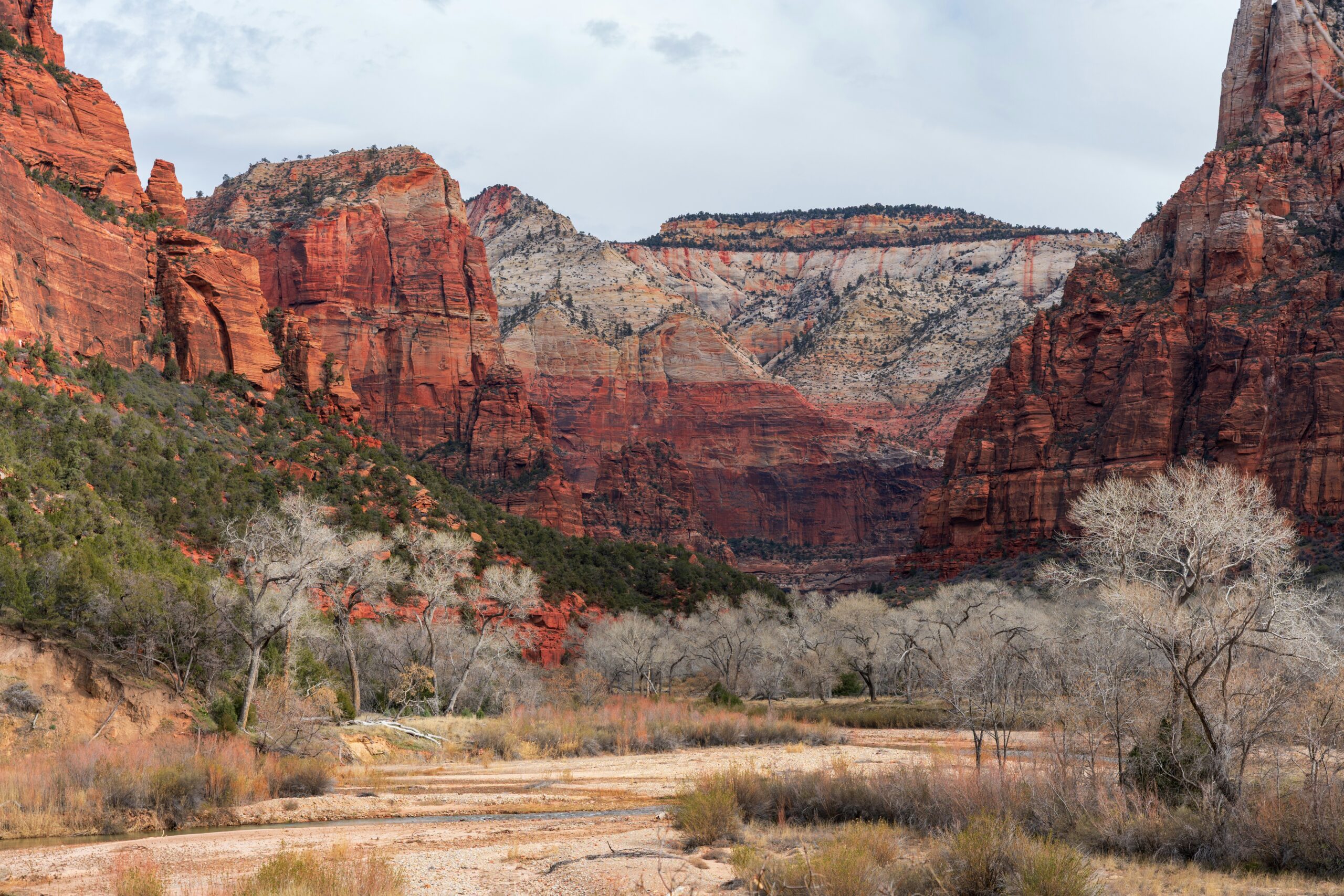 Southern Utah red rock canyon with bare cottonwood trees and dry riverbed showing seasonal high-desert conditions near Kanab