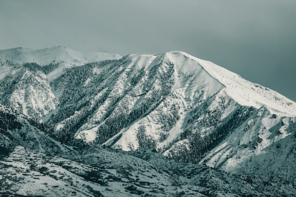 Ski and Winter