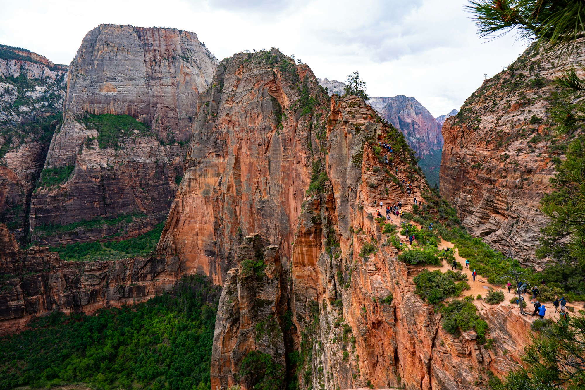 View from the summit of Angels Landing looking down Zion Canyon in Zion National Park