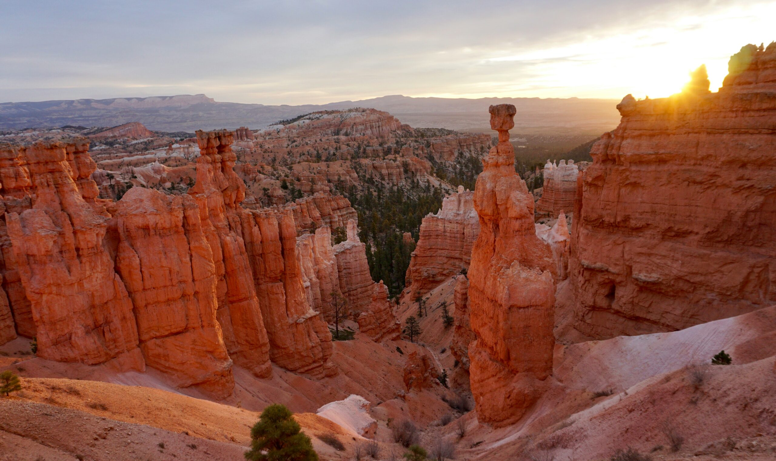 Sunrise light over the hoodoos of Bryce Canyon National Park, Utah