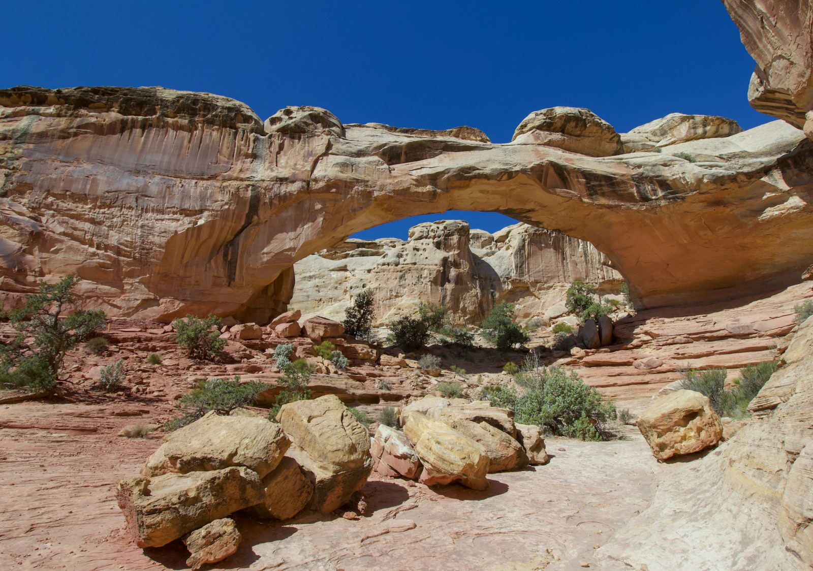 Hickman Bridge natural rock arch along the Hickman Bridge Trail in Capitol Reef National Park