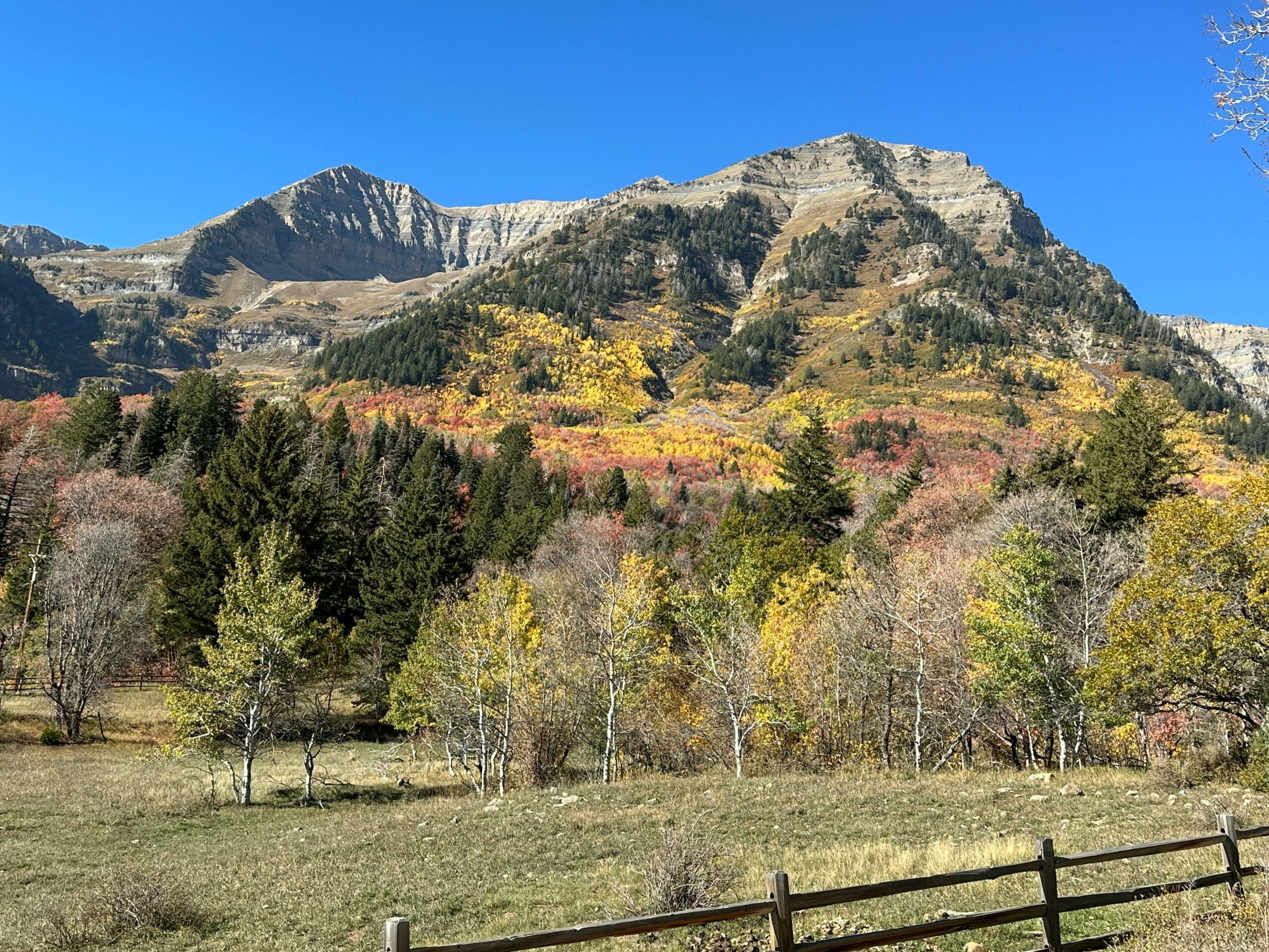 Autumn fall colors on the Wasatch Mountains with Mount Timpanogos near Salt Lake City, Utah